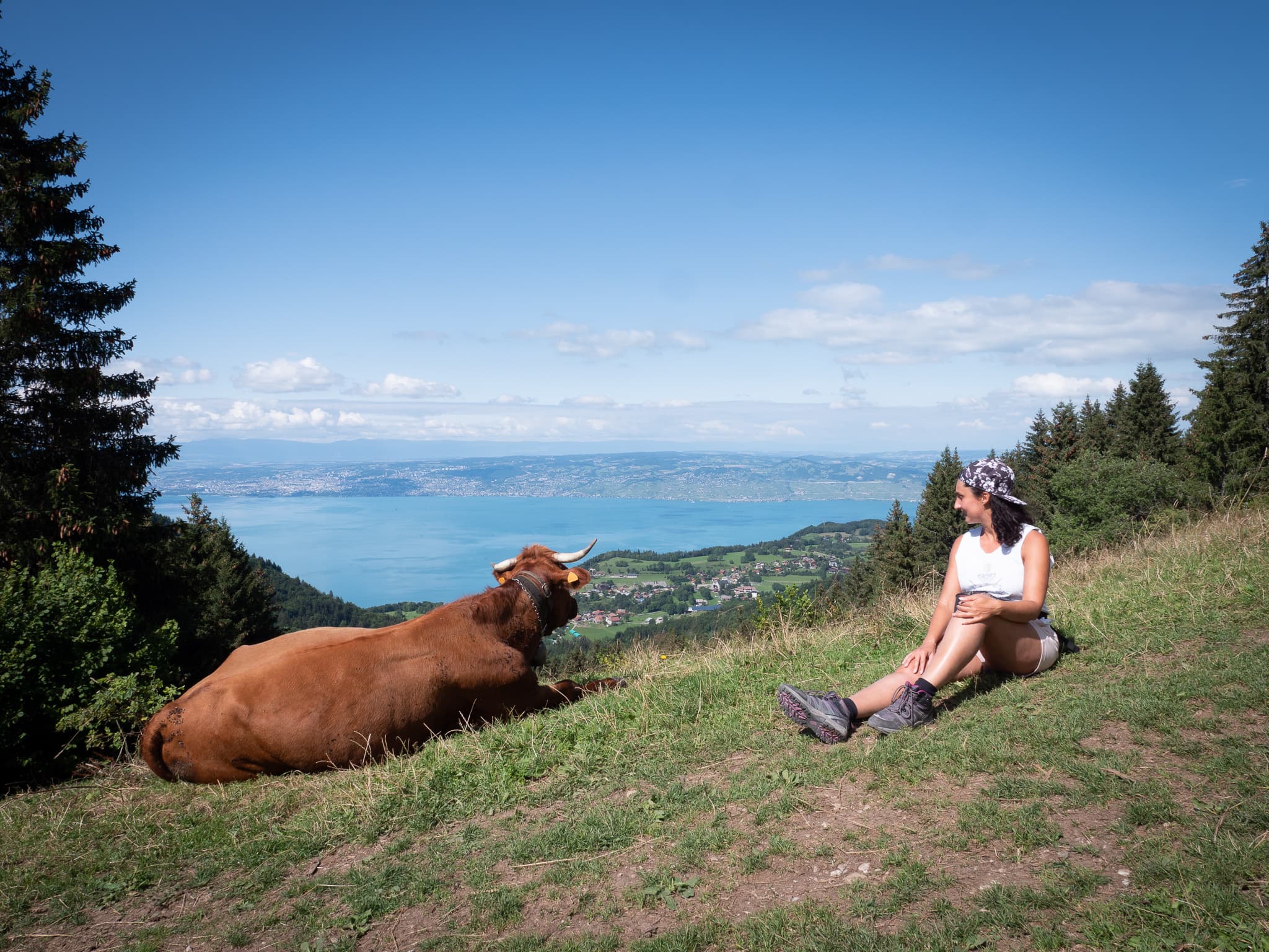 marion regardant une vache pendant une randonnee au lac leman