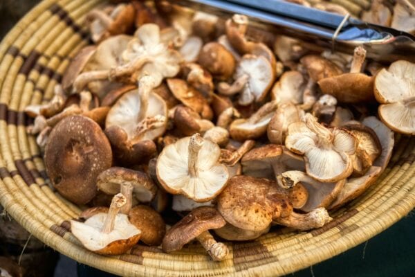 des champignons shiitake dans un panier sur un marché