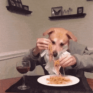 un chien déguisé en humain mange des spaghetti avec les doigts