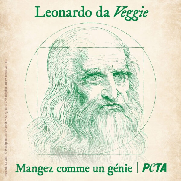 l'organisme PETA a fait une image de Léonard de Vinci avec le slogan : mangez comme un génie