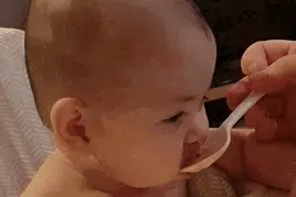 un bébé fait une grimace réflexe en mangeant une compote trop acide