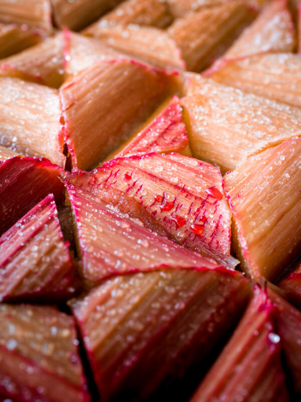 gros plan sur des tronçons de rhubarbe cuits qui révèlent leur couleur rouge dans le sucre