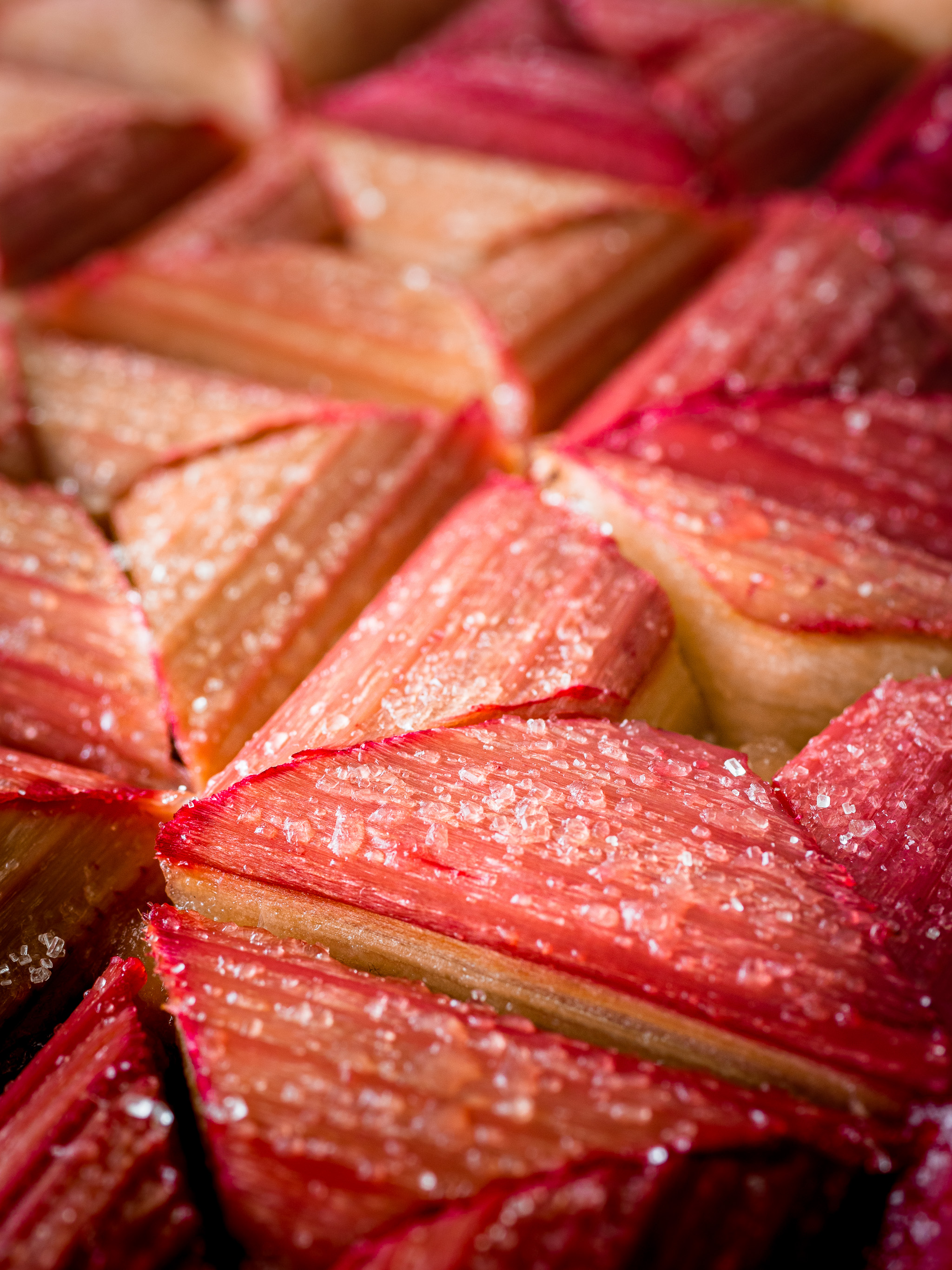 gros plan sur la tarte à la rhubarbe et ses tronçons recouverts de sucre