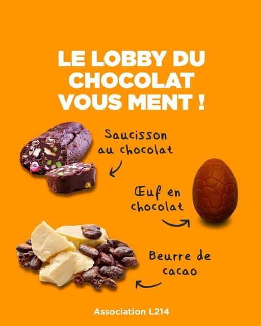 infographie de l214 indiquant ironiquement que le lobby du chocolat nous ment quand on parle de beurre de cacao