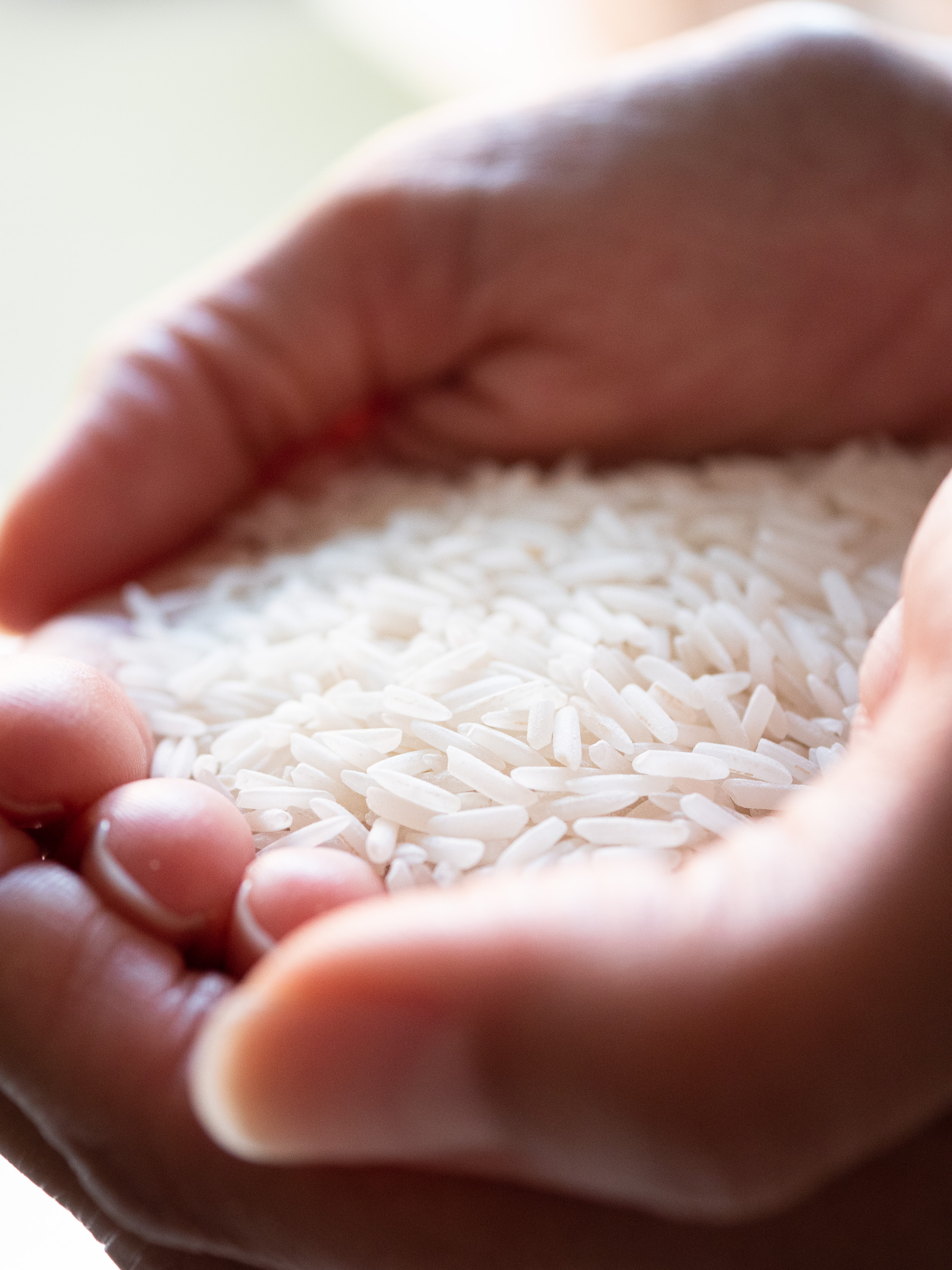 Marion tient une poignée de riz dans les mains