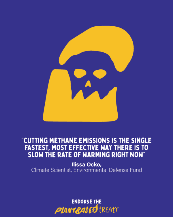 à l'heure actuelle, réduire les émissions de méthane est la façon la plus rapide et efficace de ralentir le réchauffement climatique
