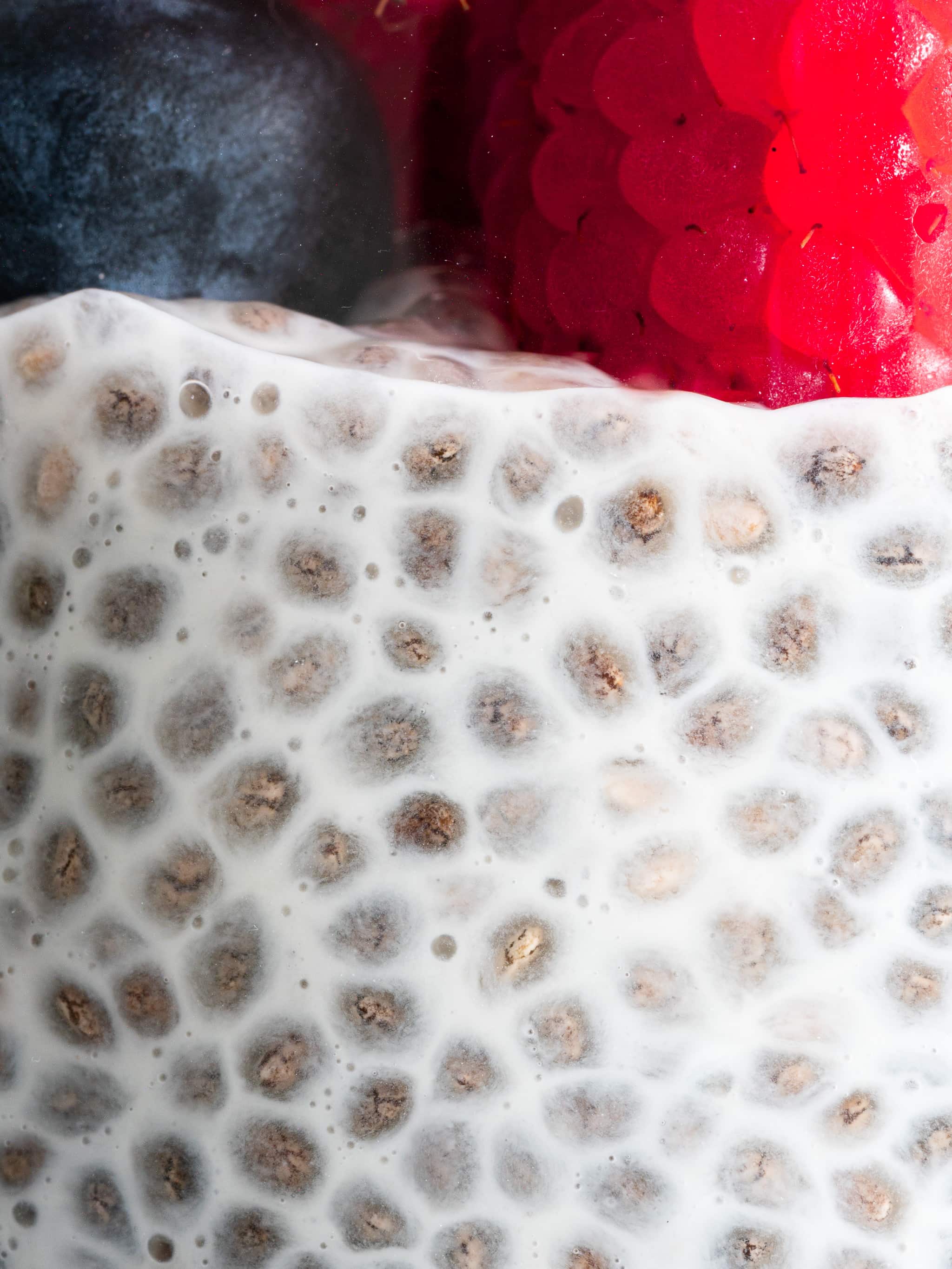 gros plan sur un pudding de chia vegan au lait végétal avec des fruits rouges frais sur le dessus